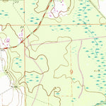 United States Geological Survey Dinsmore, FL (1964, 24000-Scale) digital map
