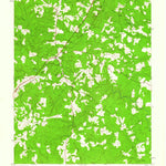 United States Geological Survey Dinwiddie, VA (1943, 24000-Scale) digital map