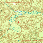 United States Geological Survey Diorite, MI (1955, 24000-Scale) digital map