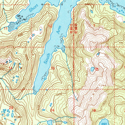 United States Geological Survey Dixon Entrance D-1, AK (1994, 63360-Scale) digital map