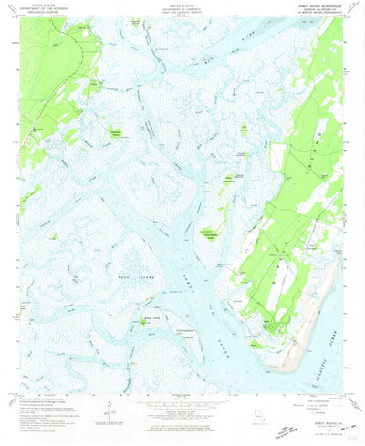 United States Geological Survey Doboy Sound, GA (1954, 24000-Scale) digital map