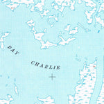 United States Geological Survey Dog Lake, LA (1953, 24000-Scale) digital map