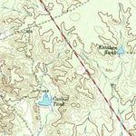 United States Geological Survey Dolores Ranch, TX (1965, 24000-Scale) digital map