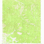 United States Geological Survey Domingo Peak, NM (1982, 24000-Scale) digital map