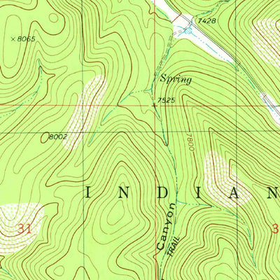 United States Geological Survey Domingo Peak, NM (1982, 24000-Scale) digital map