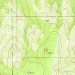 United States Geological Survey Domingo Peak, NM (1982, 24000-Scale) digital map