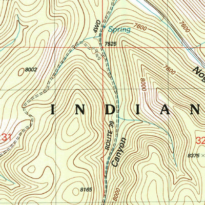United States Geological Survey Domingo Peak, NM (2004, 24000-Scale) digital map