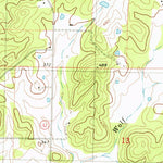 United States Geological Survey Doniphan South, MO (1980, 24000-Scale) digital map