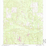United States Geological Survey Dorcas, FL (1973, 24000-Scale) digital map