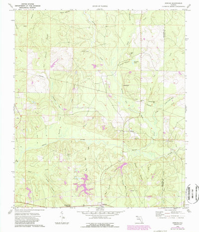 United States Geological Survey Dorcas, FL (1973, 24000-Scale) digital map