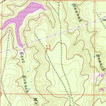 United States Geological Survey Dorcas, FL (1973, 24000-Scale) digital map