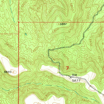 United States Geological Survey Dorsey Ranch, NM (1950, 24000-Scale) digital map