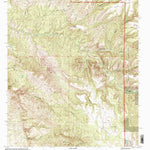 United States Geological Survey Dorsey Ranch, NM (1999, 24000-Scale) digital map