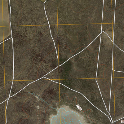 United States Geological Survey Double Lakes, TX (2010, 24000-Scale) digital map