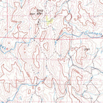 United States Geological Survey Double Mountain, NV (1981, 100000-Scale) digital map