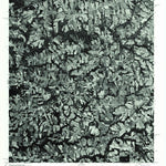 United States Geological Survey Douglas, AL (1975, 24000-Scale) digital map