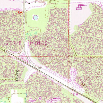 United States Geological Survey Dover, FL (1955, 24000-Scale) digital map
