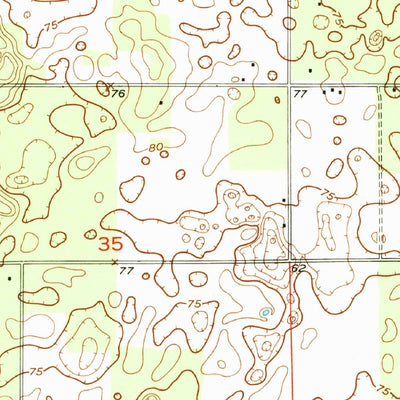 United States Geological Survey Dowling Park, FL (1954, 24000-Scale) digital map