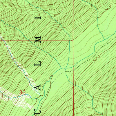 United States Geological Survey Downey Mountain, WA (1963, 24000-Scale) digital map