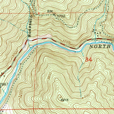 United States Geological Survey Downieville, CA (1951, 24000-Scale) digital map