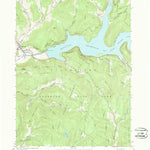United States Geological Survey Downsville, NY (1965, 24000-Scale) digital map
