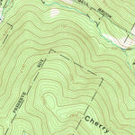 United States Geological Survey Downsville, NY (1965, 24000-Scale) digital map