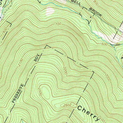United States Geological Survey Downsville, NY (1965, 24000-Scale) digital map