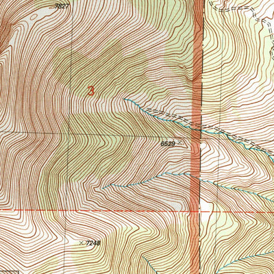 United States Geological Survey Drake Peak, OR (2004, 24000-Scale) digital map