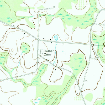 United States Geological Survey Drayton, GA (1972, 24000-Scale) digital map