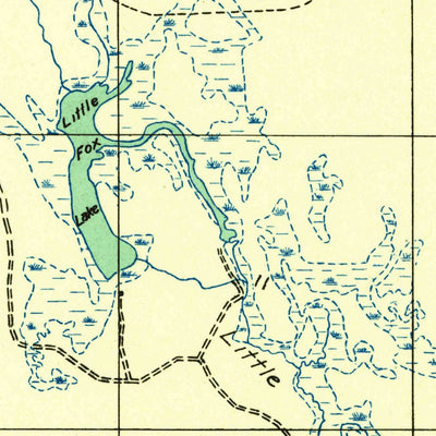 United States Geological Survey Driggs Lake, MI (1931, 31680-Scale) digital map