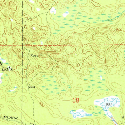 United States Geological Survey Driggs Lake, MI (1972, 24000-Scale) digital map