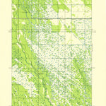 United States Geological Survey Driggs Lake SE, MI (1931, 31680-Scale) digital map