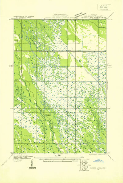 United States Geological Survey Driggs Lake SE, MI (1931, 31680-Scale) digital map