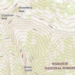 United States Geological Survey Dromedary Peak, UT (2020, 24000-Scale) digital map
