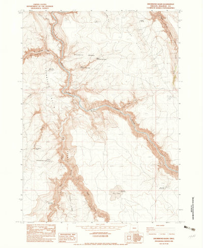 United States Geological Survey Drummond Basin, OR (1982, 24000-Scale) digital map