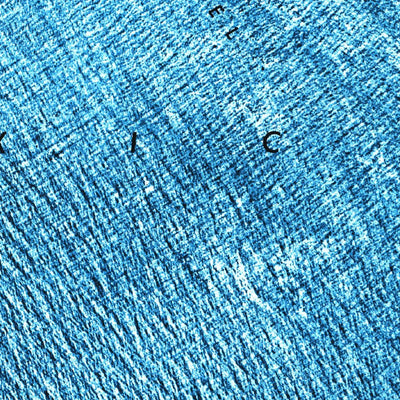 United States Geological Survey Dry Tortugas, FL (1971, 24000-Scale) digital map