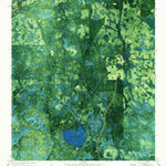 United States Geological Survey Du Pont, GA (1971, 24000-Scale) digital map