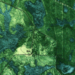United States Geological Survey Du Pont, GA (1971, 24000-Scale) digital map