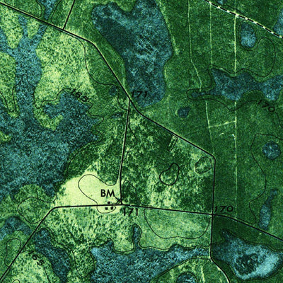United States Geological Survey Du Pont, GA (1971, 24000-Scale) digital map