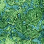 United States Geological Survey Du Pont, GA (1971, 24000-Scale) digital map