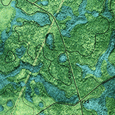 United States Geological Survey Du Pont, GA (1971, 24000-Scale) digital map