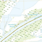 United States Geological Survey Duck Island, IL (2021, 24000-Scale) digital map