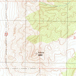 United States Geological Survey Duckwater NE, NV (1990, 24000-Scale) digital map