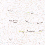 United States Geological Survey Duffer Peak, NV (1965, 62500-Scale) digital map