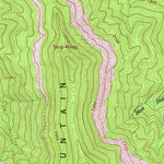 United States Geological Survey Duncan Flats, TN (1952, 24000-Scale) digital map