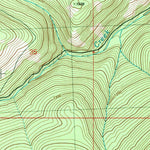 United States Geological Survey Duncan Ridge, WA (1981, 24000-Scale) digital map