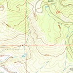 United States Geological Survey Dunckley Pass, CO (1966, 24000-Scale) digital map