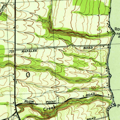 United States Geological Survey Dundee, NY (1943, 31680-Scale) digital map