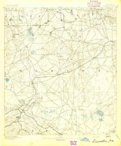 United States Geological Survey Dunnellon, FL (1894, 62500-Scale) digital map