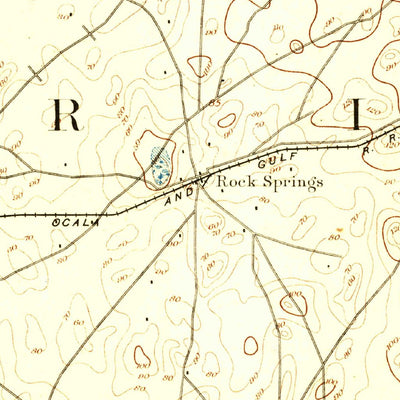 United States Geological Survey Dunnellon, FL (1894, 62500-Scale) digital map